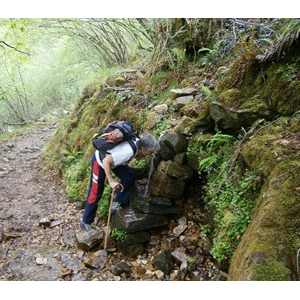 Un alto en el camino para beber de la fuente.
