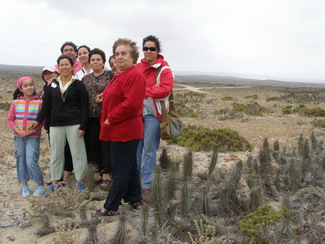 paseo por el desierto